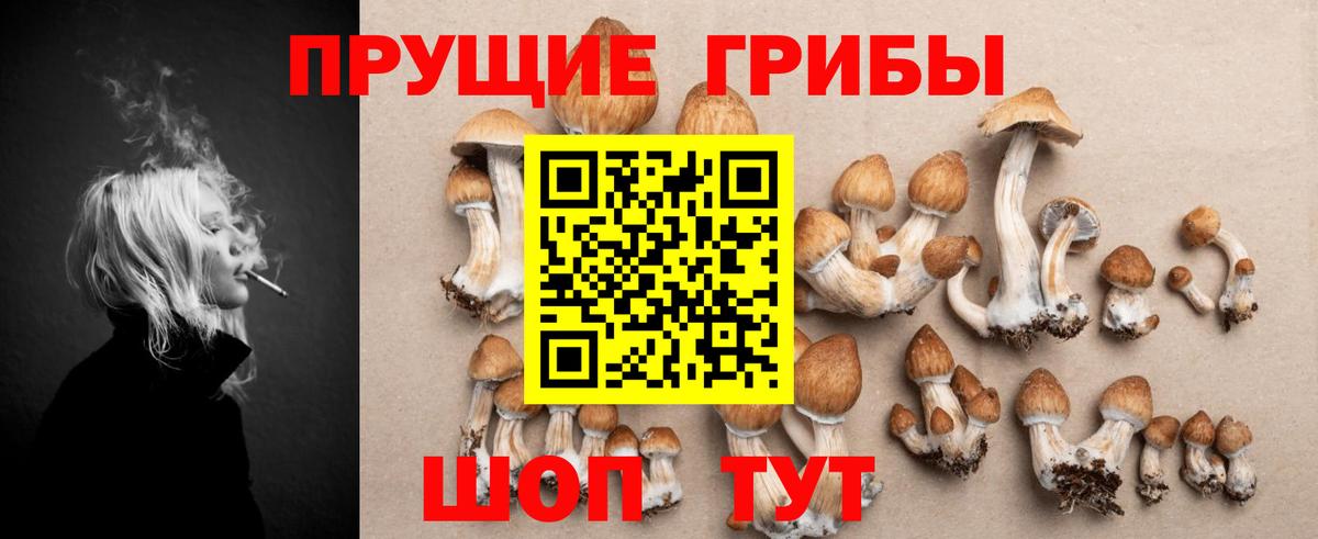 Псилоцибиновые грибы Cubensis Похвистнево